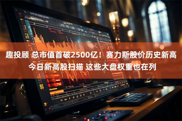 趣投顾 总市值首破2500亿！赛力斯股价历史新高 今日新高股扫描 这些大盘权重也在列
