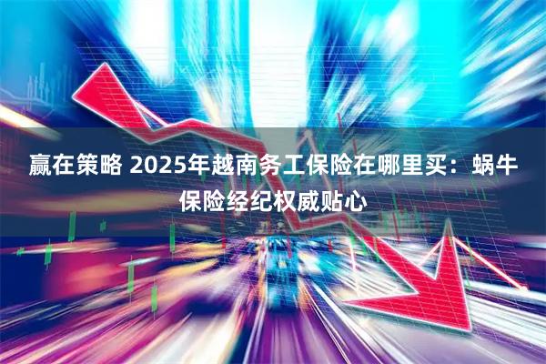 赢在策略 2025年越南务工保险在哪里买：蜗牛保险经纪权威贴心