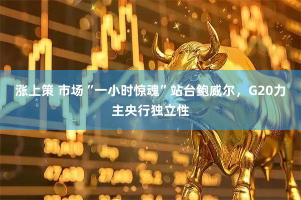 涨上策 市场“一小时惊魂”站台鲍威尔，G20力主央行独立性